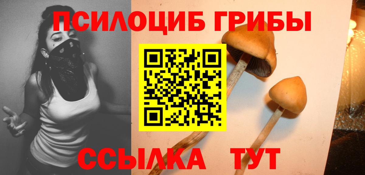 Губкинский  Галлюциногенные грибы Psilocybe  Вход с VPN 